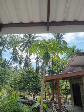 Chom Suan Farmstay